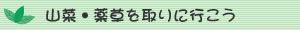 山菜・薬草を採りに行こう